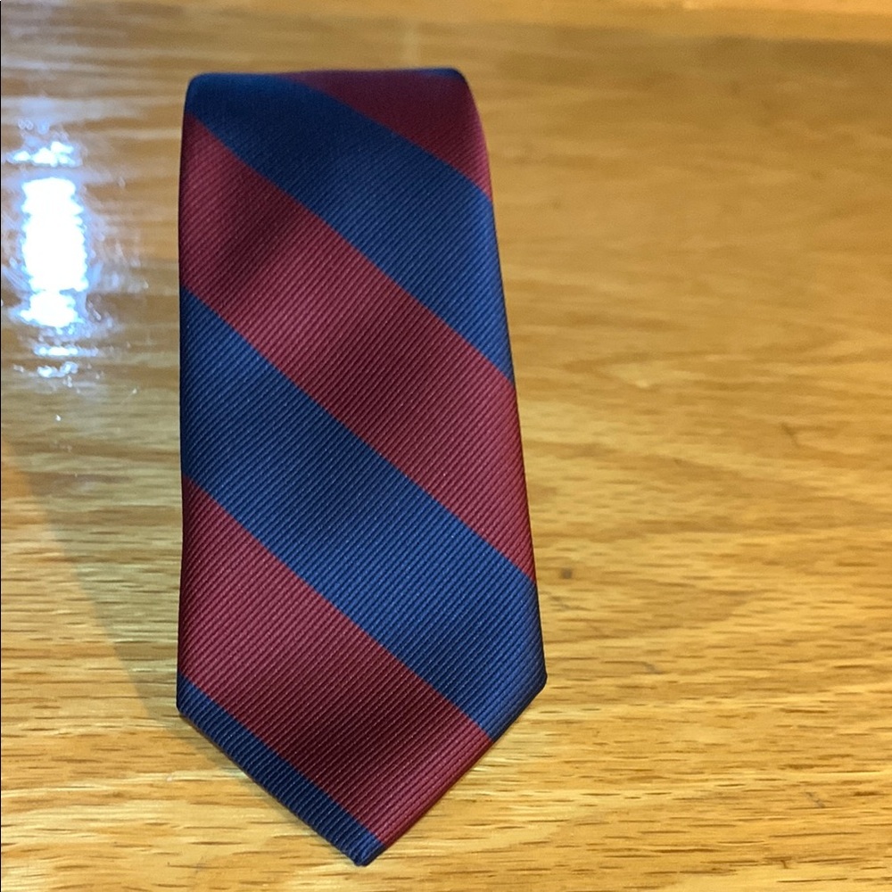 American Eagle Outfitters Red and Blue Striped Tie